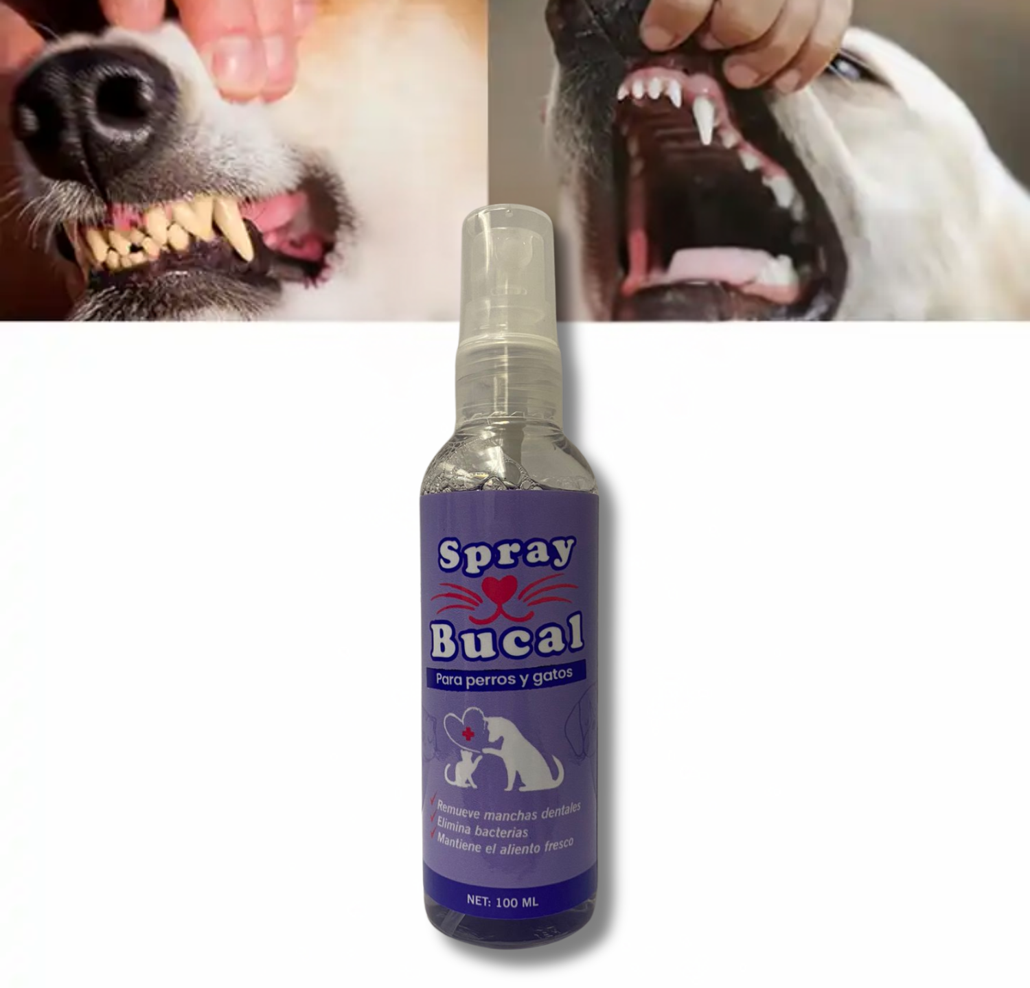 Oral Pet Spray Bucal Limpiador Mascotas